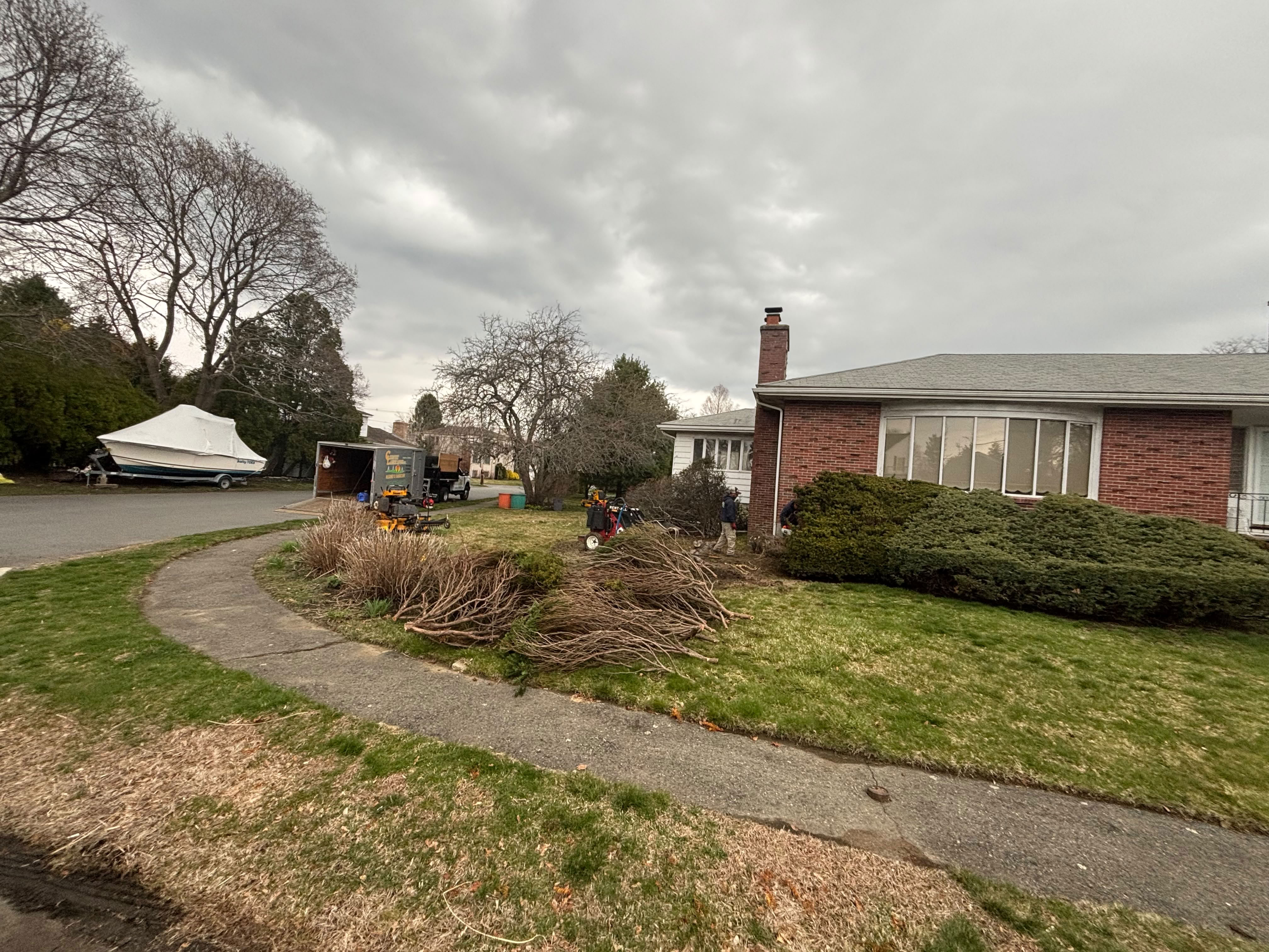 Tree Services